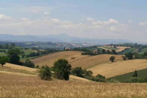 Imprenditorialità marchigiana. La strada verso la rinascita industriale